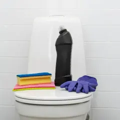 Produits de nettoyage pour les toilettes : une bouteille de produit, des éponges et des gants violets. Une astuce de grand-mère pour détartrer les wc.
