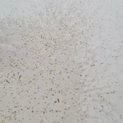Un seau d'eau éclabousse un sol en terrazzo blanc moucheté, révélant comment faire briller un sol en terrazzo.