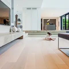 Chien se prélassant sur un parquet clair, profitant de la chaleur douce du chauffage au sol hydraulique dans un salon moderne.