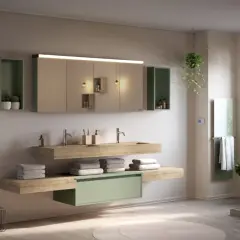 Salle de bain moderne avec lavabo flottant, rangements verts et une plante pour salle de bain apportant une touche de nature.