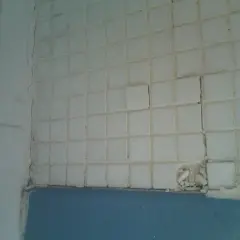 Carrelage blanc qui se décolle, craquelé et endommagé par l'humidité. Des carreaux sont cassés, révélant le mur derrière.