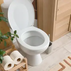 Un élégant WC blanc, prêt à l'emploi, avec un rouleau de papier toilette à proximité. Un choix judicieux pour votre salle de bain.