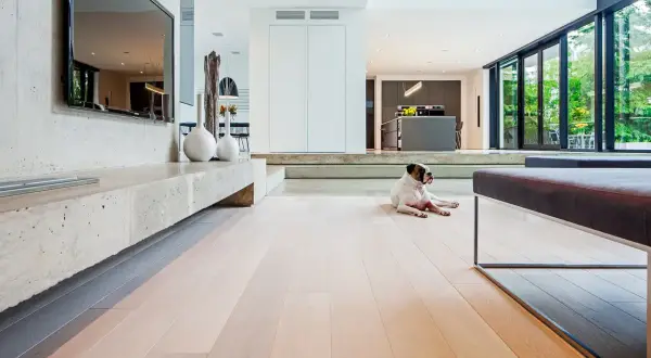 Chien se prélassant sur un parquet clair, profitant de la chaleur douce du chauffage au sol hydraulique dans un salon moderne.