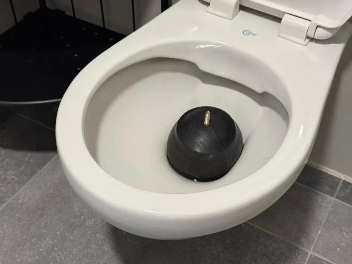 Un déboucheur en caoutchouc noir repose dans la cuvette d'un WC, prêt à résoudre les problèmes de diamètre d'évacuation WC.
