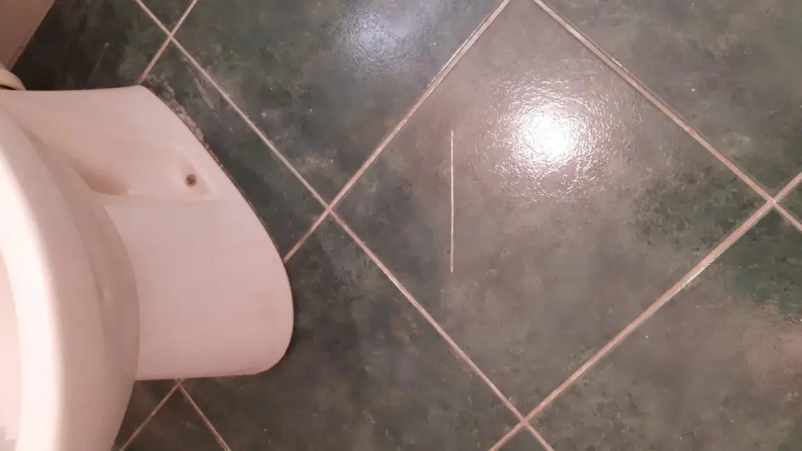 Carrelage rayé près des toilettes. Que faire pour effacer cette rayure ?