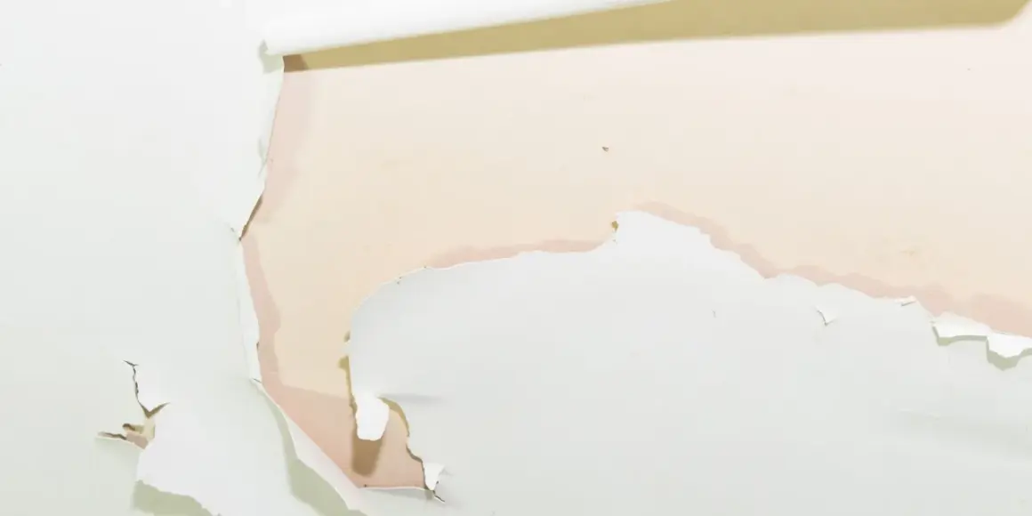 Détail d'une peinture qui s'écaille sur un mur, révélant une couche inférieure rosée. Des lambeaux blancs se détachent, laissant apparaître des traces d'humidité.
