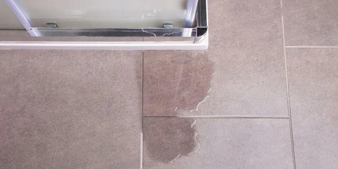Fuite d'eau pr&egrave;s d'une installation douche. Le sol carrel&eacute; est mouill&eacute;, indiquant un probl&egrave;me d'&eacute;tanch&eacute;it&eacute;.