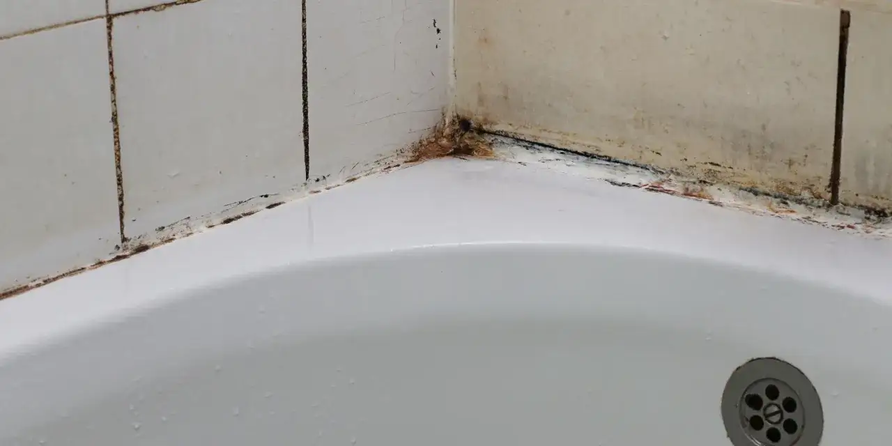 Coin de baignoire avec carrelage qui se décolle et signes d'humidité, moisissure visible.