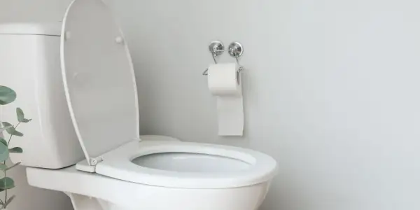 Un WC blanc avec le couvercle ouvert, prêt pour l'évacuation des eaux usées et du WC. Un rouleau de papier toilette est accroché au mur.