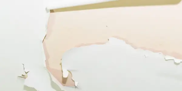 Détail d'une peinture qui s'écaille sur un mur, révélant une couche inférieure rosée. Des lambeaux blancs se détachent, laissant apparaître des traces d'humidité.